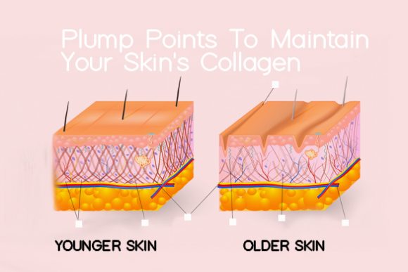 Collagen: Plump Points For Healthy Skin