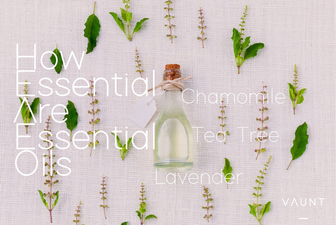 Our Favourite 5 Essential Oils And How To Use Them